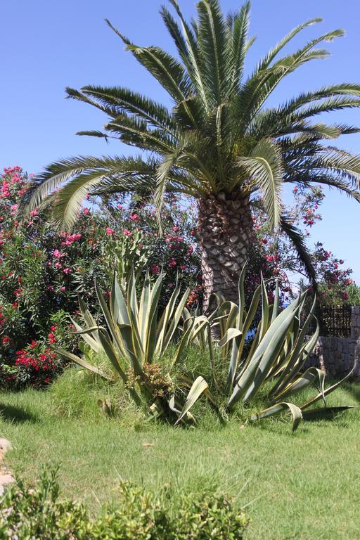 Villa Irini Almyrida  Exterior photo
