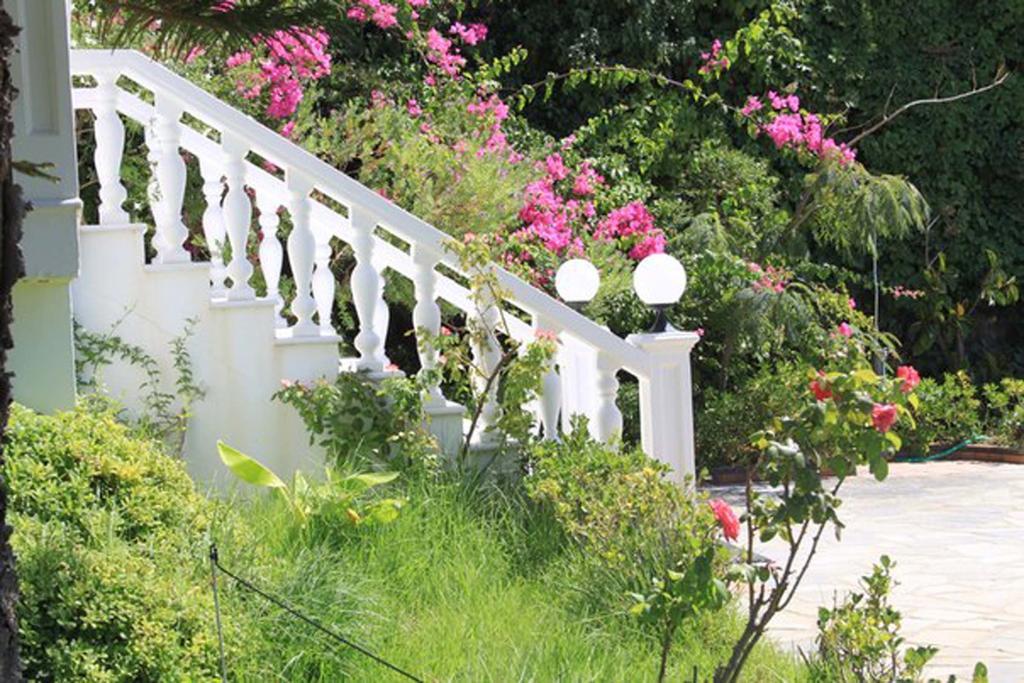 Villa Irini Almyrida  Exterior photo